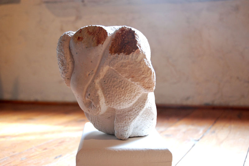 Abstract White elephant