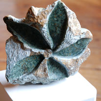 Star Flower