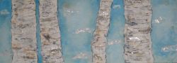 Silver birch