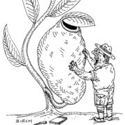 Pitcher Plant (Saga magazine)