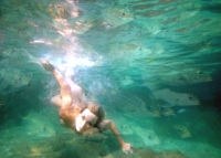 accross the shoal