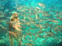 blending sea sprite