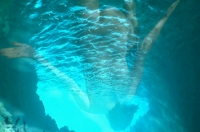 a deeper dive