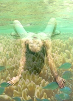 coral bed