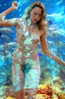 kelp nymph