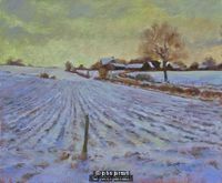 Norfolk Snow