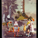 Derwentwater Robots