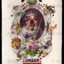 The Bulldog King