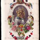 The Bear King