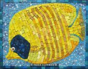 Angel Fish