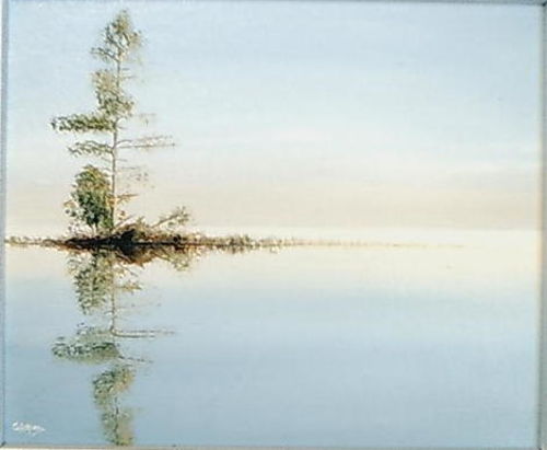 Tranquil   
