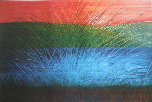 Morning Grass