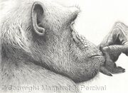 The Thinker