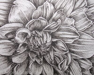 B/W Dahlia Flower 1