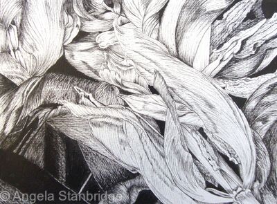 Tulipmania 6 - Pen
