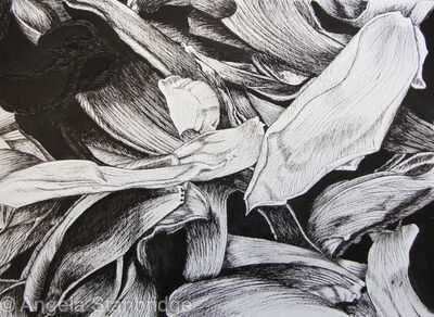 Tulipmania 10 - Pen