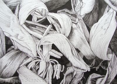 Tulipmania 17 Pen