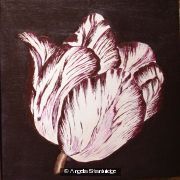 Aubergine Tulip 2