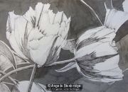 Tulipmania 3 - Pen and Ink