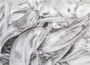Tulipmania 4 - Pen