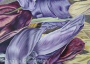Tulipmania 4 - Colour