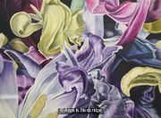 Tulipmania 14 - Colour