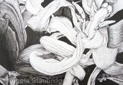 Tulipmania 11 - Pen