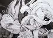 Tulipmania 18 - Pen