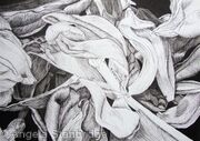 Tulipmania 19 - Pen