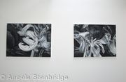 Degree Show 2