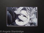 Tulipmania 11 - Print Black Mount