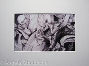 Tulipmania 14 - Print White Mount