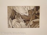 Tulipmania 19 - Etching #3
