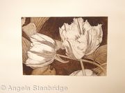Tulipmania 3 - Etching #3
