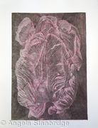 Tulipmania 20 - Etching - Pink