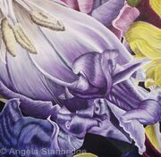 Tulipmania 22