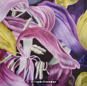Tulipmania 23