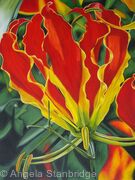 Gloriosa
