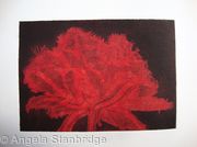 Cool Cystal Aquatint Etching Red