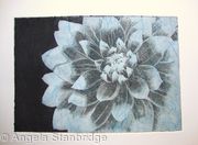 Dahlia1 lt blue