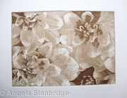 Dahlia 2 sepia