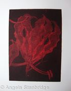Gloriosa red