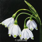 Snowdrop 1
