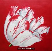 Sm Red Tulip 2