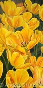 Asahi Tulip