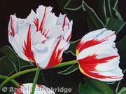 Happy Generation Tulips