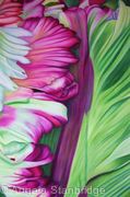 Abstract Tulip 6