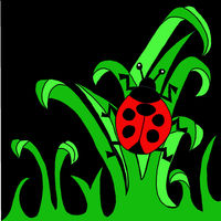 ladybird  madebysteph