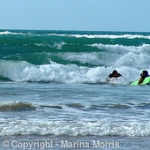 The Surfers