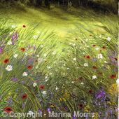 Natures Garden